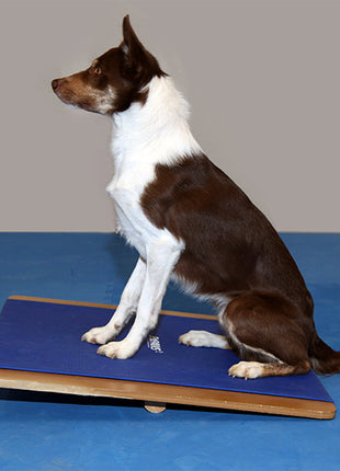 FitPaws Giant Rocker Board