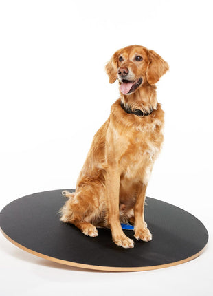 FitPaws Wobble Board – afbeelding 3