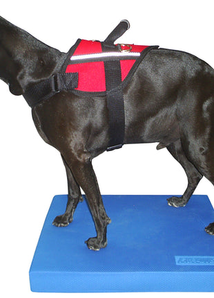 FitPaws Balance Pad Blauw – afbeelding 2