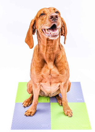 FitPaws TRAX Targets (2 stuks) – afbeelding 3