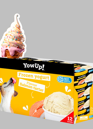 YowUp! Frozen Yoghurt Salmon Tartar