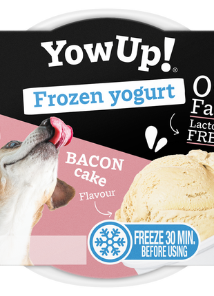 YowUp! Frozen Yoghurt Bacon Cake
