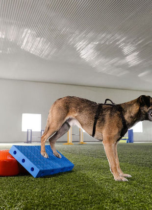 FitPaws FitKinect Upgrade Kit – afbeelding 4