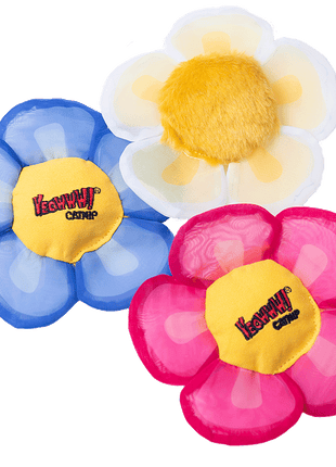 Yeowww! Display Strip Daisy's Flower Top 12 st.