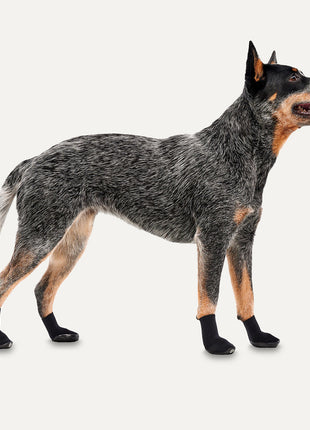 Goo-eez Dog Boots Lites 4 Per Pack Zwart