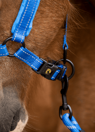 Excellent Superior Halster Blauw