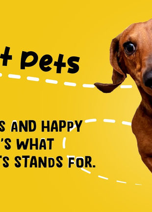 Excellent Pets Multi-Vit Soft Chews 60 Treats