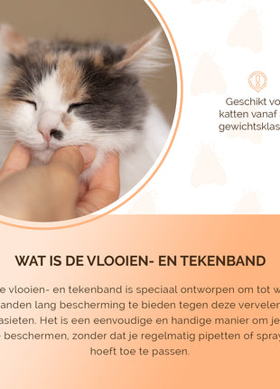Knock Pest Vlooien/Tekenband Kat 33 cm DE/UK