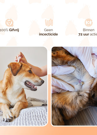 Knock Pest vlooien-tekenpipet Hond ≥ 5 kg