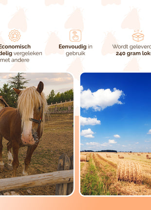 Knock Pest FlyNip VliegenEmmer (incl. traktatie)