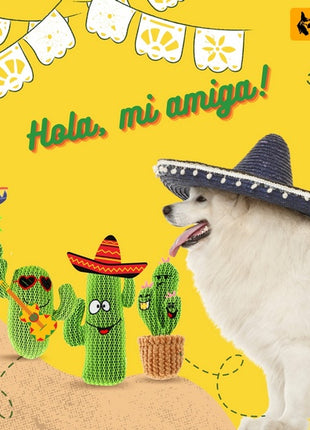 Dingo Zabawka dla psa - Kaktus Carlos 34cm