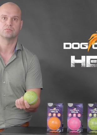 Dog Comets Helix Oranje