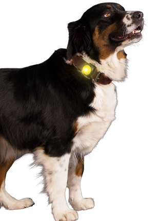 Nightwalk Safety Light Geel