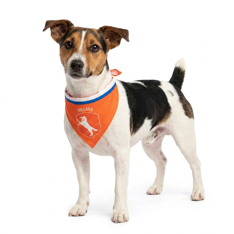 Oranje Bandana Holland