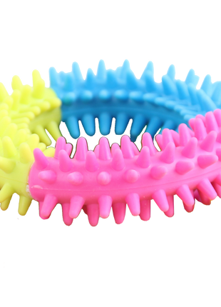 Pawise Rainbow World Ring