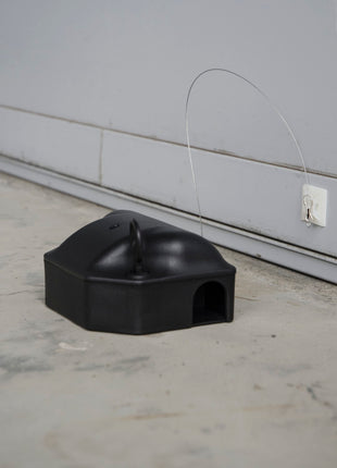 Voerdoos Plak-anker 25 cm
