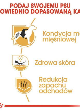 Royal Canin French Bulldog Adult karma sucha dla psów dorosłych rasy buldog francuski 3kg