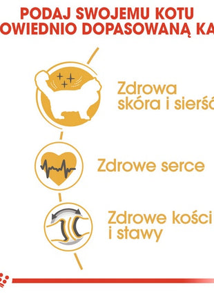 Royal Canin Ragdoll Adult karma sucha dla kotów dorosłych rasy ragdoll 2kg