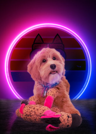 Retrodog Donkey Roze