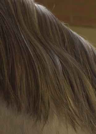 Paardenpraat TV Glitter Glamour Spray Goud
