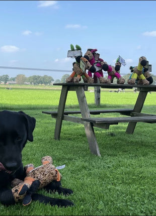 Retrodog Donkey Roze