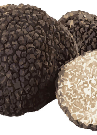 SwissCowers Cheese Bars Truffle S