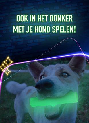 2 Glow Treat Bone of it's Own