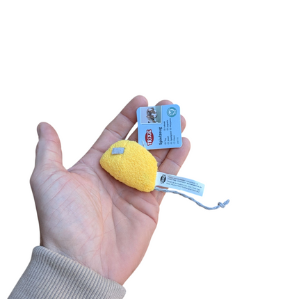 Fidello Speelplezier Pakket voor Katten & Kittens - Spel, uitdaging en vermaak in één
