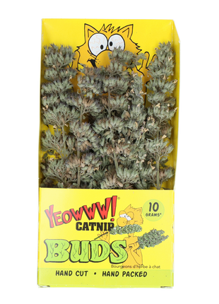 Yeowww! Catnip Buds