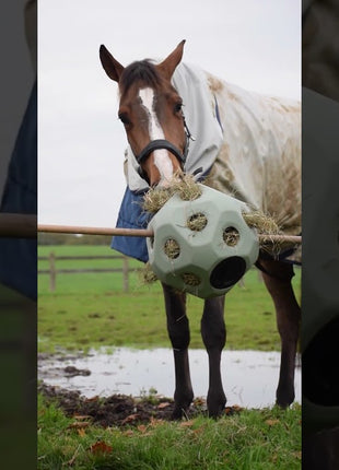 Excellent Horse Feed & Play Ball Blauw