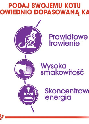 Royal Canin Sensible karma sucha dla kotów dorosłych, o wrażliwym przewodzie pokarmowym 400g
