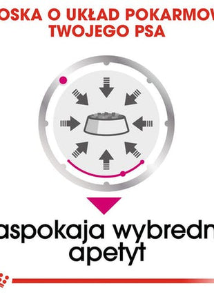 Royal Canin Exigent karma mokra dla wybrednych psów dorosłych, wszystkich ras, pasztet saszetka 85g