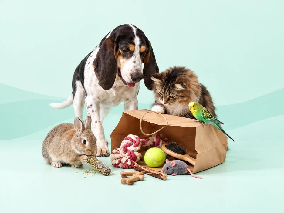 Hond, kat, konijn en parkiet met gratis producten uit een papieren tas