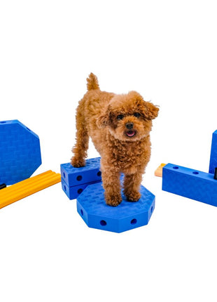 FitPaws FitKinect Core