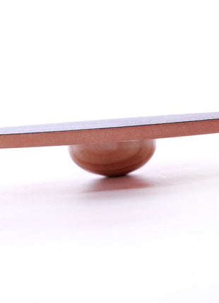 FitPaws Wobble Board