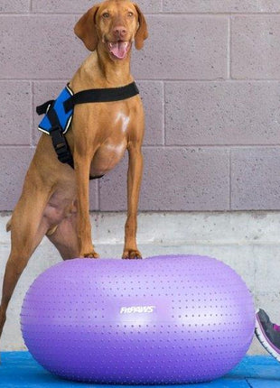 FitPaws TRAX Donut Paars 55 cm – afbeelding 4