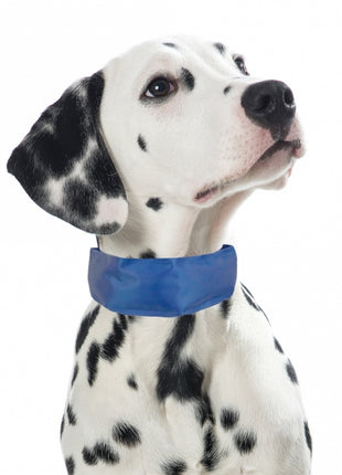 PROCYON Kühl-Bandana für Hunde